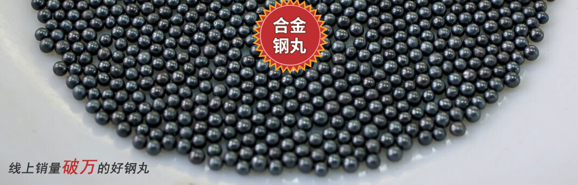 鋼丸廠家.jpg